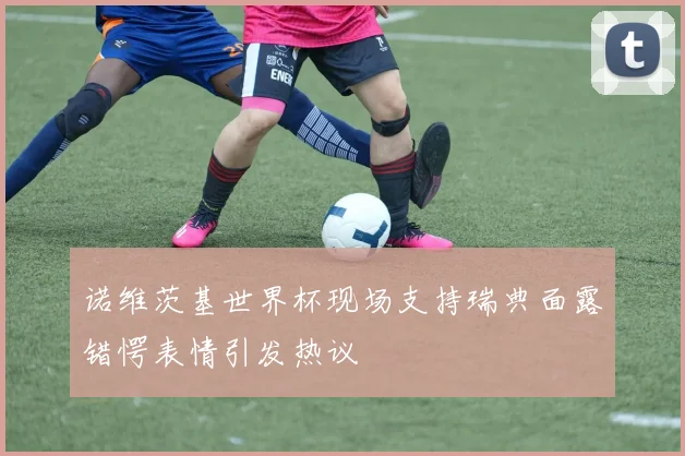 诺维茨基世界杯现场支持瑞典面露错愕表情引发热议